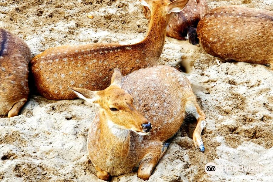 河內動物園