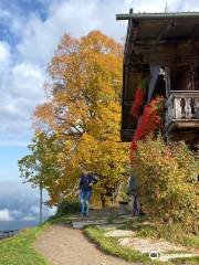 Bergdoktorhaus - Bergdoktor practice