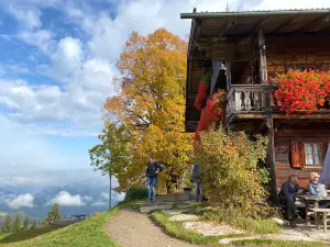 Bergdoktorhaus - Bergdoktor practice