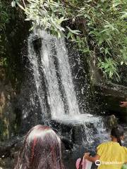 Woodland water fall nainital