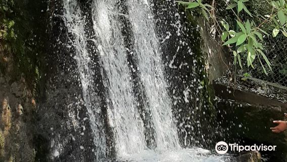 Woodland water fall nainital
