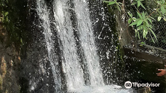 Woodland water fall nainital