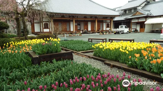 泉蔵寺