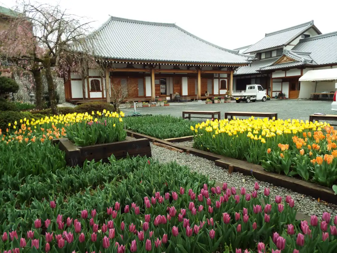 Hotels near Senzo-ji Temple