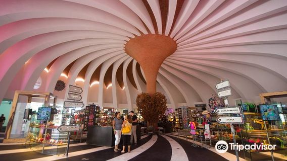 Xenses Park by Xcaret