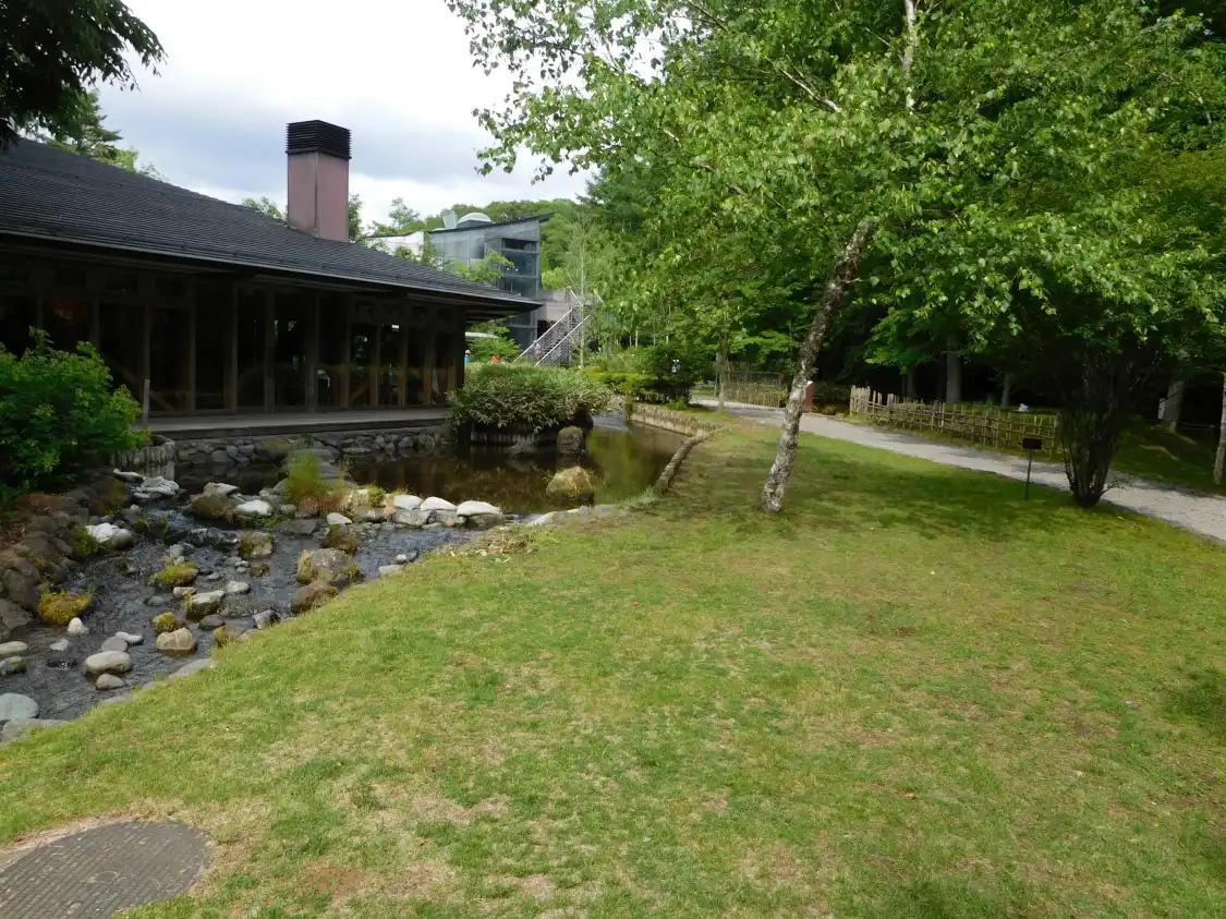Hotels near Sakana Park