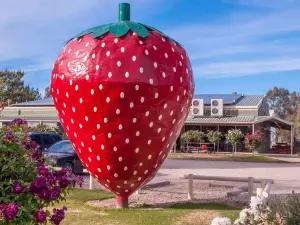 The Big Strawberry