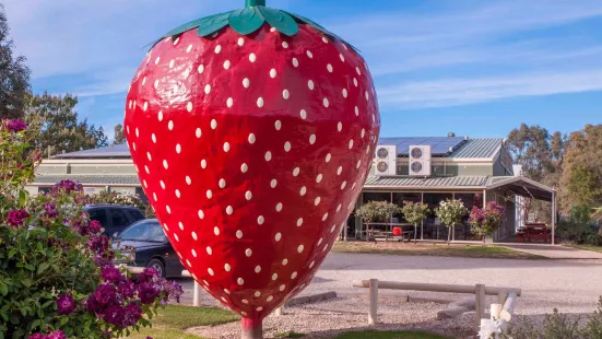 The Big Strawberry