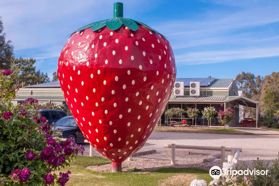 The Big Strawberry