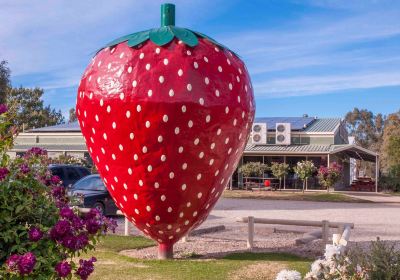 The Big Strawberry