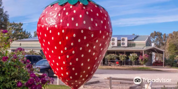 The Big Strawberry