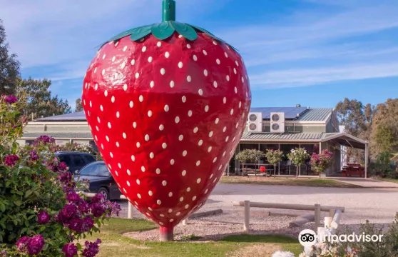 The Big Strawberry