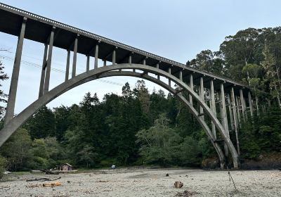 Russian Gulch State Park