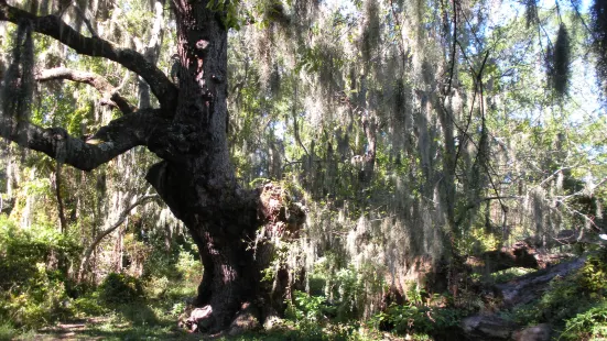 Indian Shell Mound Park