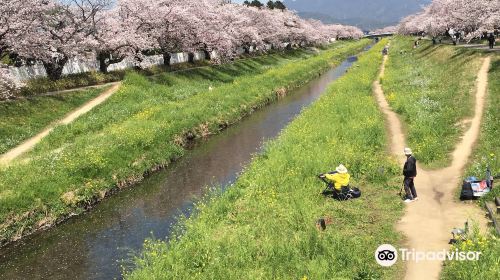 Sanagawa Embankment