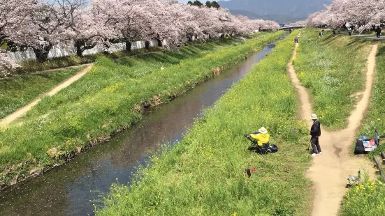 佐奈川堤