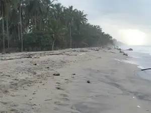 Playas de Palomino