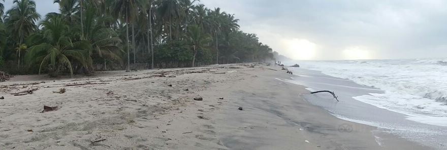 Playas de Palomino