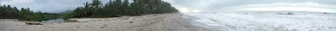 Hotels near Playas de Palomino