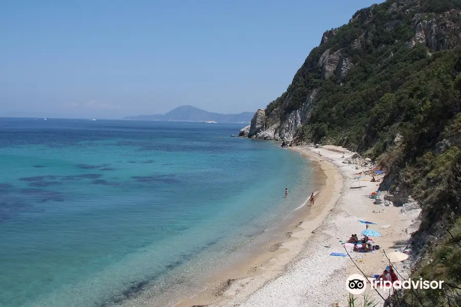 Spiaggia di Seccione