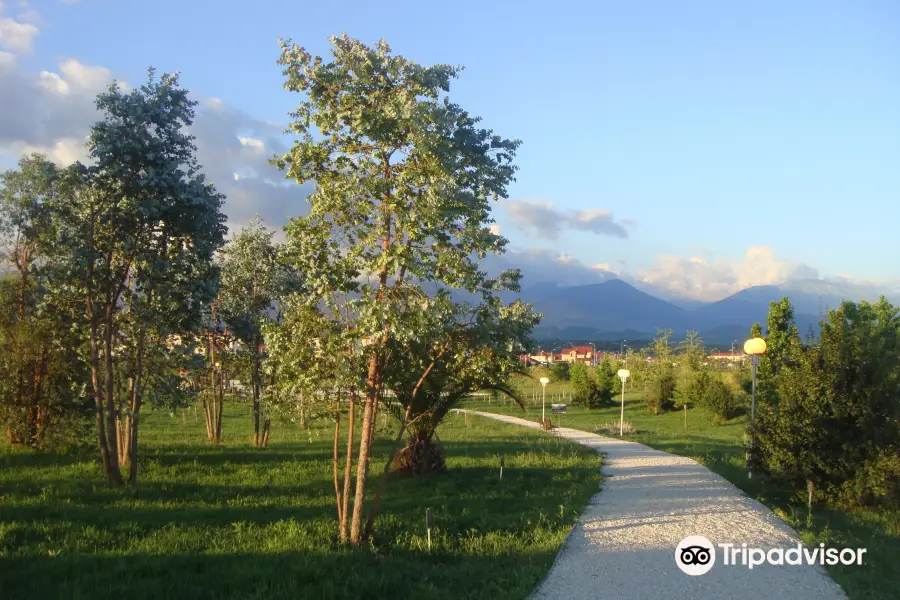 Natural Ornithological Park in the  Imereti Lowland