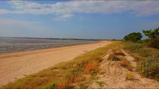 Plage d'Aytre