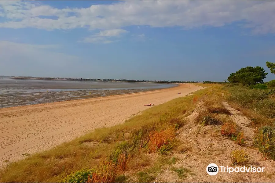 Plage d'Aytré