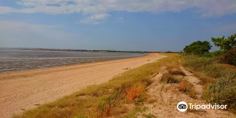Plage d'Aytré