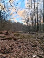 Morasko Meteorite Nature Reserve