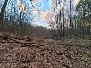 Morasko Meteorite Nature Reserve