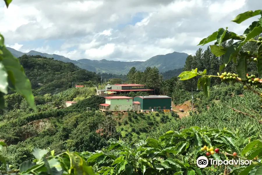 Hacienda Tres Angeles