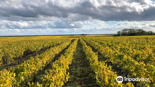 Domaine Bourillon Dorleans