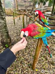 Lincolnshire Wildlife Park