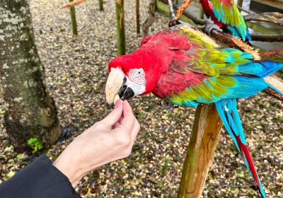 Lincolnshire Wildlife Park