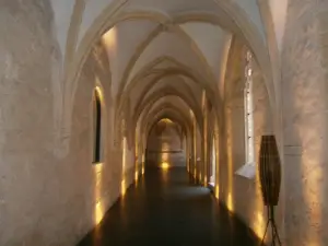 Dominican Monastery (Dominikanski samostan)
