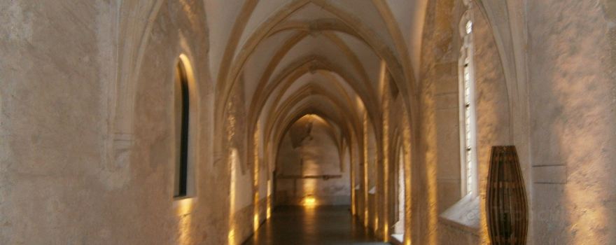 Dominican Monastery (Dominikanski samostan)