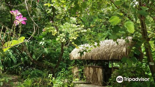 Jardin Creole Ecotours