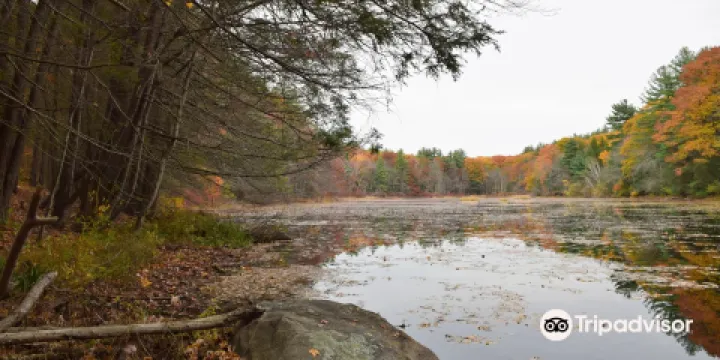 卡拉漢國家公園