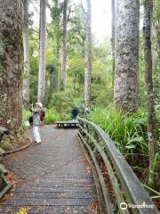 Puketi Nature Trail