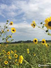 Baker University Wetlands