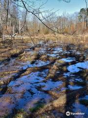 Haw River State Park