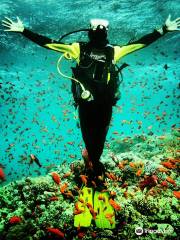 Piscis Diving