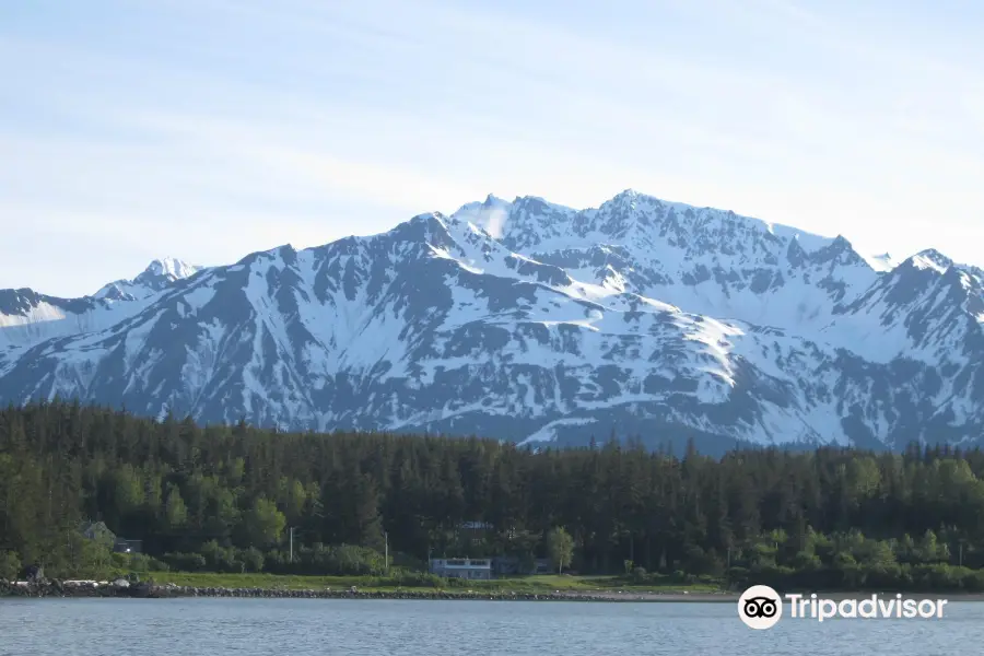 Alaska Fjordlines