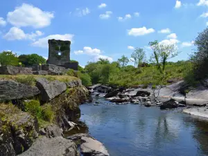 Carriganass Castle
