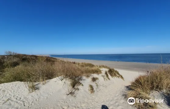 科萊恩斯普拉特