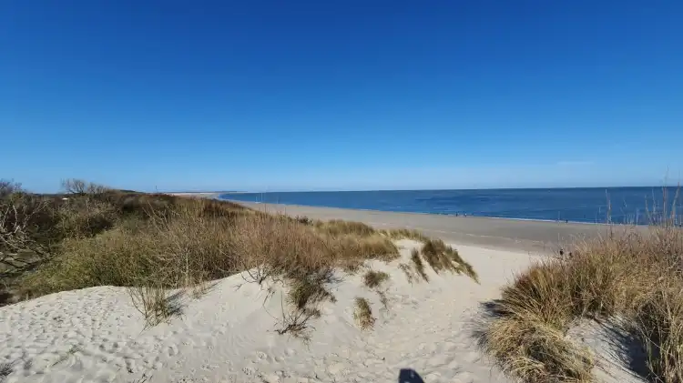 Colijnsplaat