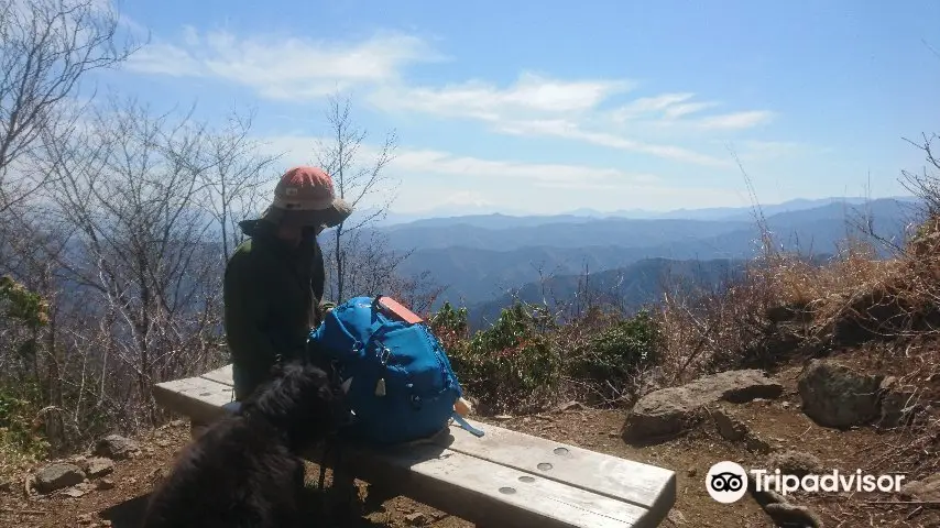 Mt. Odake