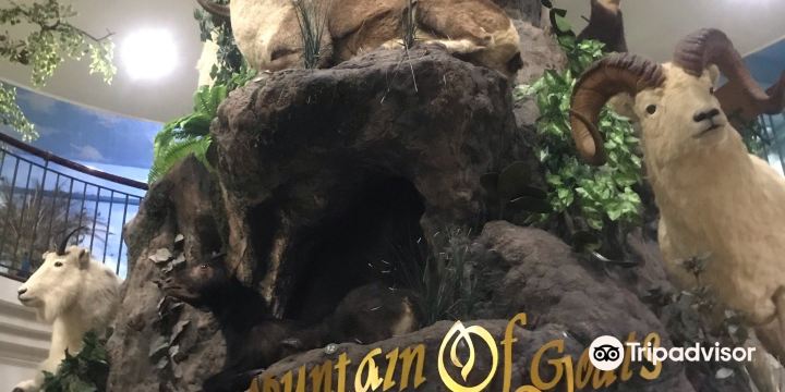 Rahmat International Wildlife Museum & Gallery