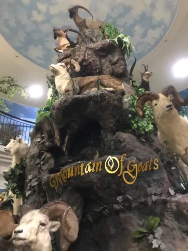 Medan Baru