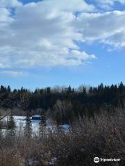 Calgary Sandy Beach Park